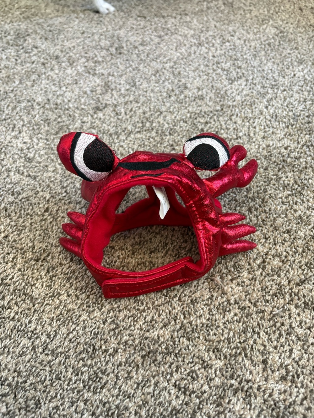 Crab Pet Hat (cat/small dog)